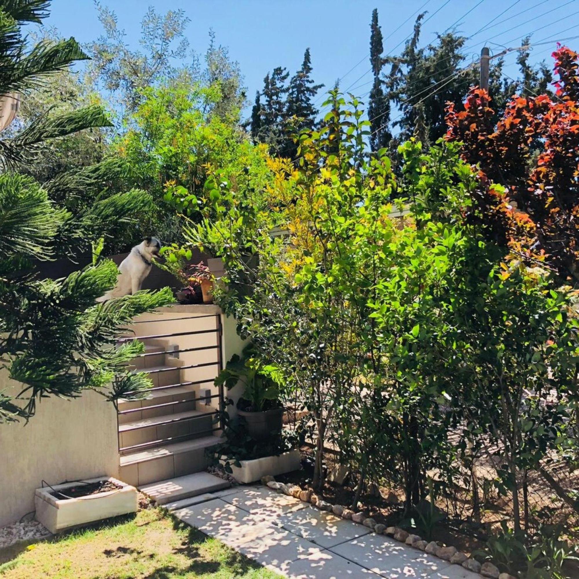 Azure House At Lagonissi Lagonisi Dış mekan fotoğraf